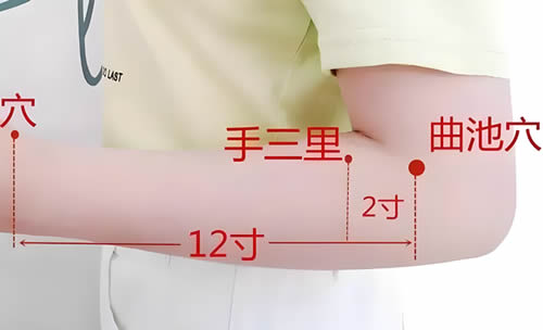 手三里穴的正确位置图