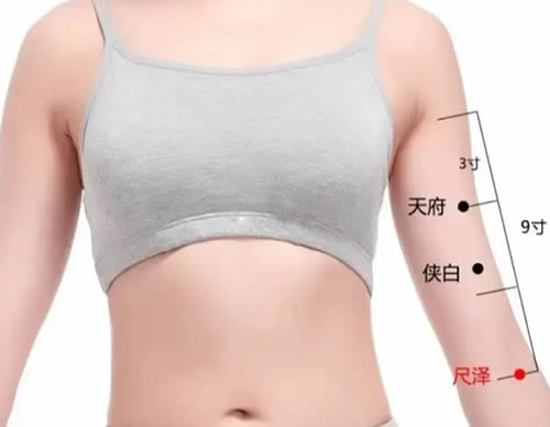 尺泽穴的正确位置图