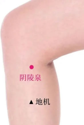 阴陵泉穴的正确位置图