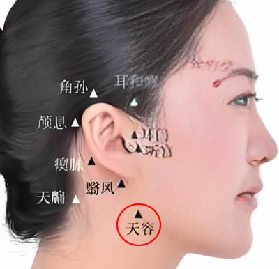 天容穴的正确位置图