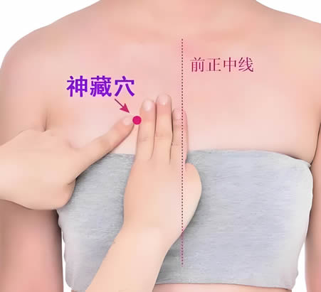 神藏穴的正确位置图