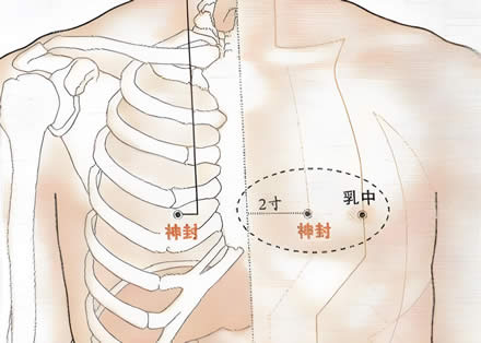 神封穴的正确位置图