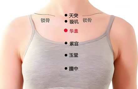 华盖穴的正确位置图