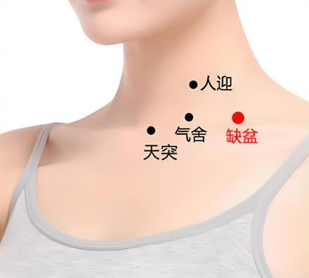 缺盆穴的正确位置图