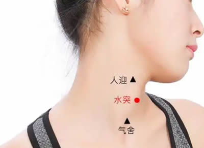 水突穴的正确位置图