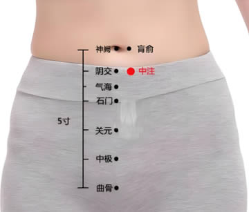 中注穴的正确位置图