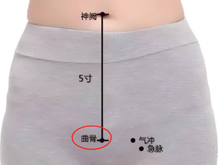 曲骨穴的正确位置图