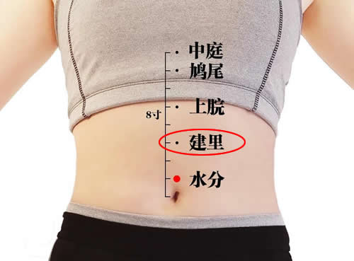 建里穴的正确位置图