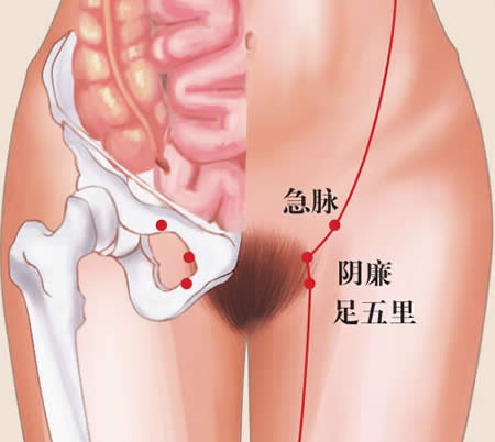 急脉穴的正确位置图