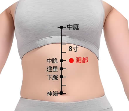 阴都穴的正确位置图