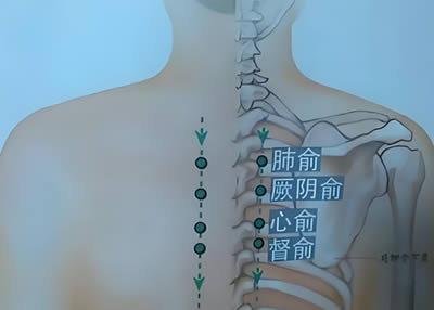 督俞穴的正确位置图