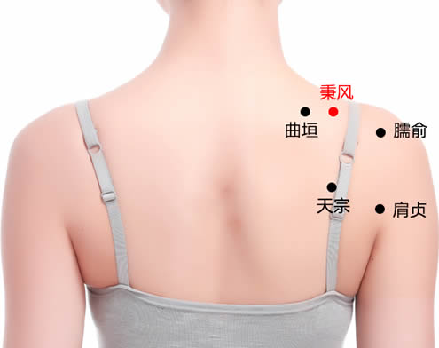 秉风穴的正确位置图