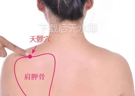 天髎穴的正确位置图