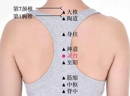 灵台穴的正确位置图