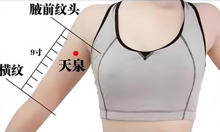 天泉穴的正确位置图
