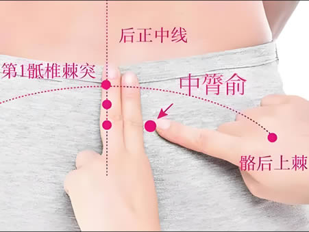 中膂俞的位置图