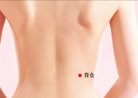 胃仓穴的正确位置图