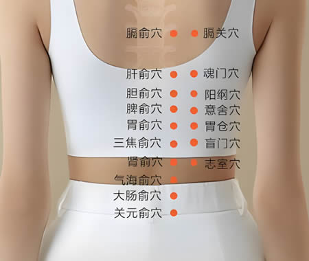 阳纲穴的正确位置图