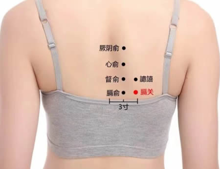 膈关穴的正确位置图