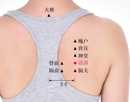 譩譆穴的正确位置图