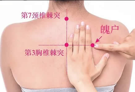 魄户穴的正确位置图