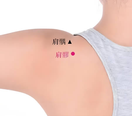 肩髎穴的正确位置图