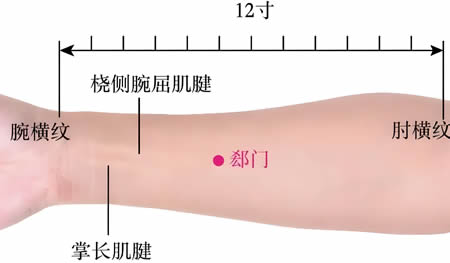 郄门穴的正确位置图