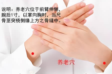 养老穴位的正确位置图