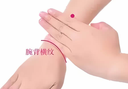 会宗穴的正确位置图