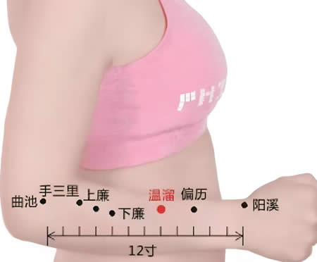 温溜穴的正确位置图
