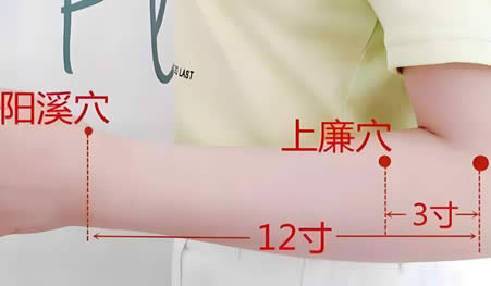 上廉穴位正确位置图