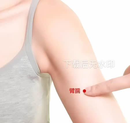 臂臑穴位正确位置图