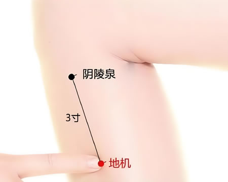 地机穴的正确位置图