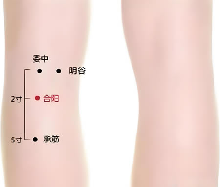 合阳穴的正确位置图