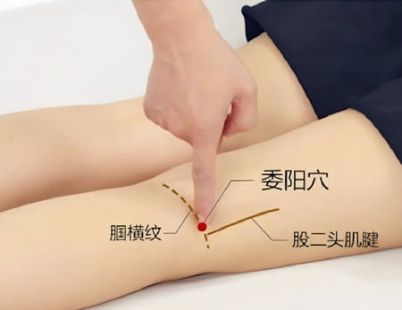 委阳穴的正确位置图