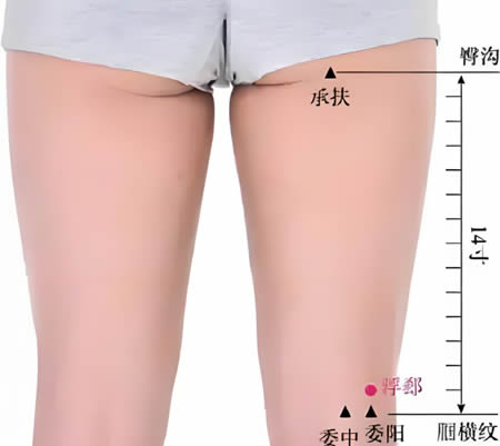 浮郄穴的正确位置图