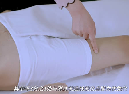 伏兔穴的正确位置图