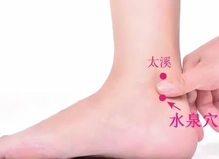 水泉穴的正确位置图