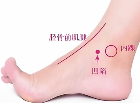 中封穴的正确位置图