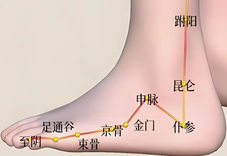 仆参穴位正确位置图