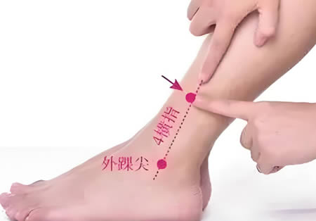悬钟穴位正确位置图