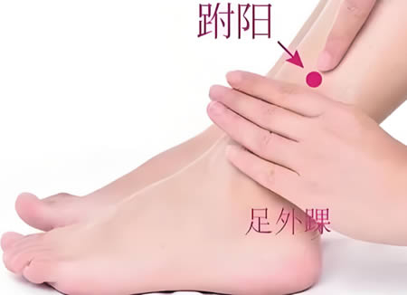 跗阳穴位正确位置图