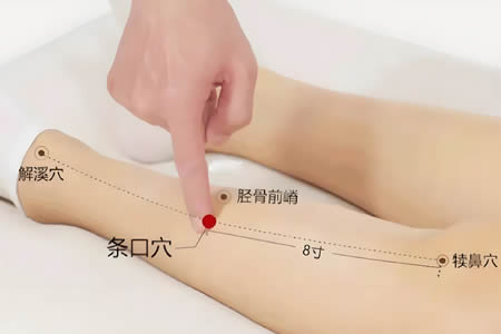 条口穴的正确位置图