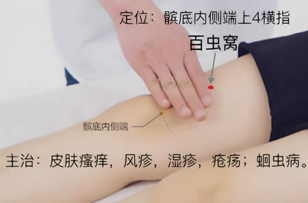 百虫窝穴的正确位置图