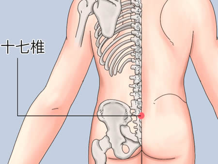 十七椎穴位正确位置图