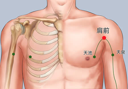 肩前的正确位置图
