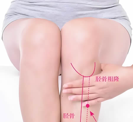 阑尾穴位的正确位置图