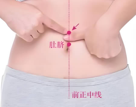 水分穴的正确位置图
